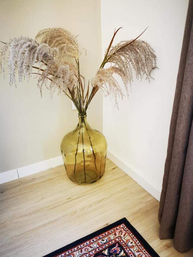 Vida Y Mar Apartamentos Peñíscola 外观 照片
